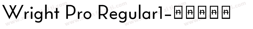 Wright Pro Regular1字体转换
